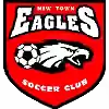新城鹰